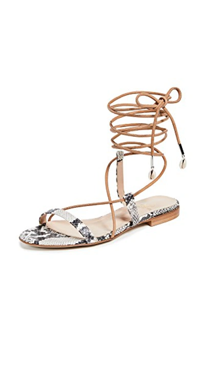 Shop Brother Vellies Selma Sandals In Python