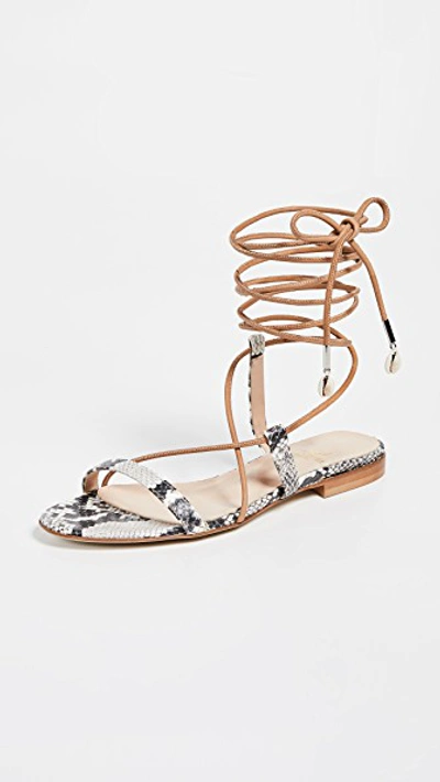 Shop Brother Vellies Selma Sandals In Python