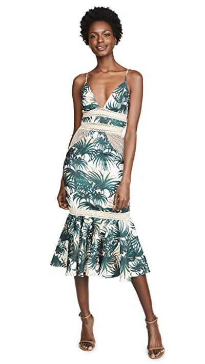 Shop Patbo Palm Print Fitted Midi Dress In Ivory/green