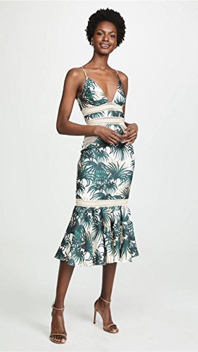Shop Patbo Palm Print Fitted Midi Dress In Ivory/green