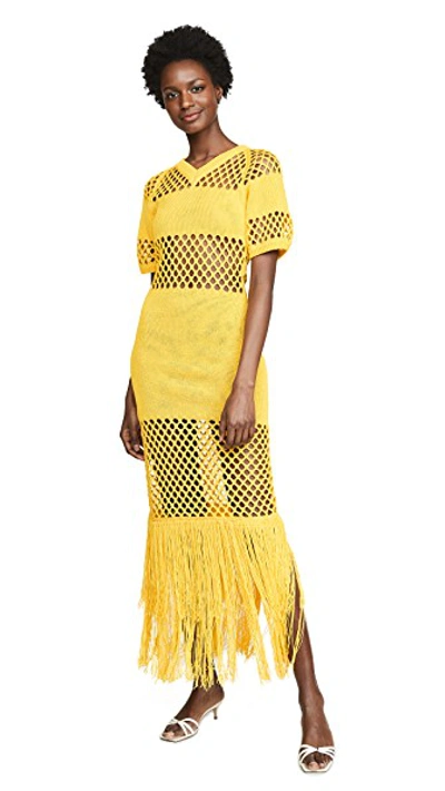 Shop Sonia Rykiel Fishnet V Neck Dress In Citron