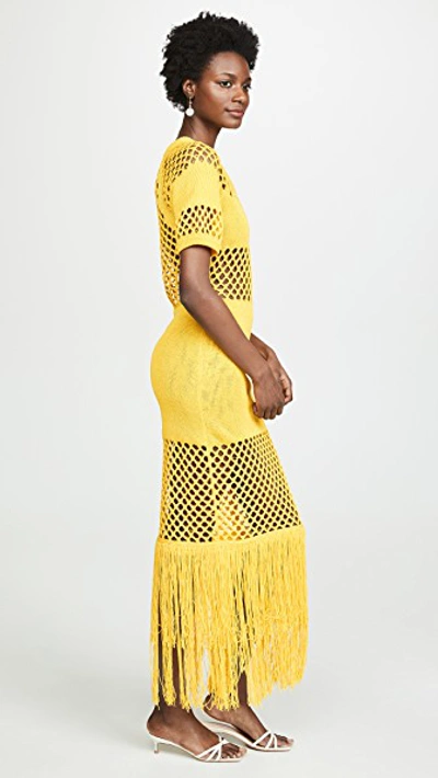 Shop Sonia Rykiel Fishnet V Neck Dress In Citron