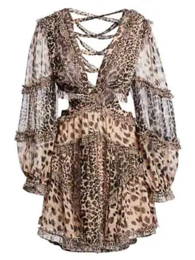 Shop Zimmermann Allia Leopard Cutout Sheer Dress In Spliced