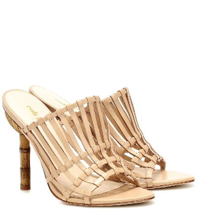 Shop Cult Gaia Ark Leather Sandals In Beige