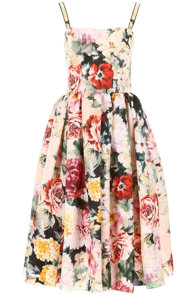 Shop Dolce & Gabbana Printed Midi Dress In Papaveri Fiori Fnero|rosa