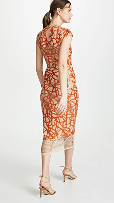 Shop Sandra Mansour Sleeveless Embroidered Dress In Orange