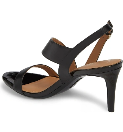 Shop Calvin Klein Lancy Sandal In Black Leather