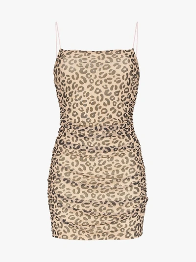 Shop Sandy Liang Lily Leopard Print Fitted Mini Dress In Multicoloured