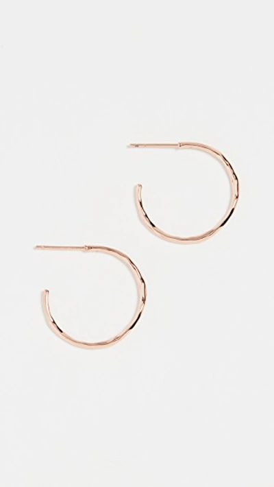 Shop Gorjana Taner Small Hoop Earrings In Rose Gold