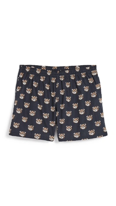 Shop Moschino Bear Woven Boxers In Black