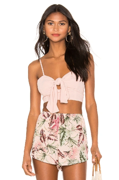 Shop Amuse Society Camila Top In Light Pink
