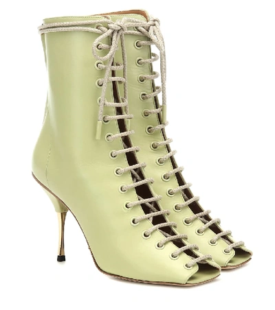 Shop Petar Petrov Siena Leather Ankle Boots In Green