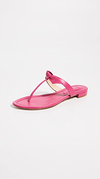 Shop Alexandre Birman Clarita Naked Flat Sandals In Raspberry