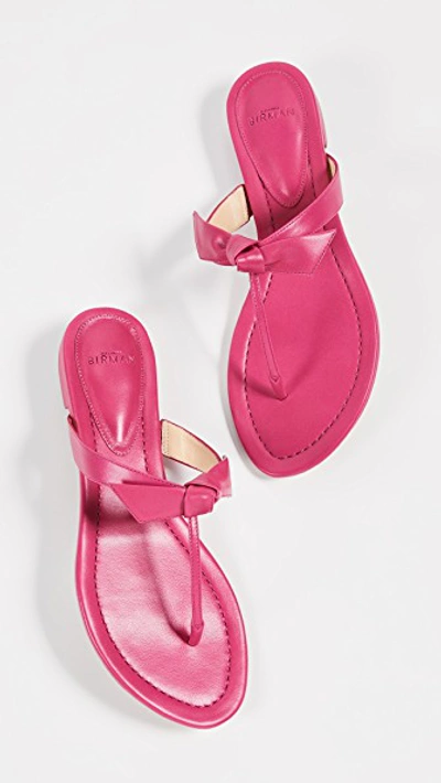 Shop Alexandre Birman Clarita Naked Flat Sandals In Raspberry