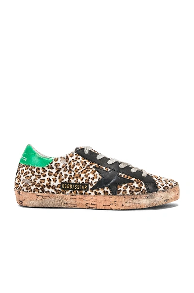 Shop Golden Goose Cork Sole Superstar Sneakers In Leopard Pony