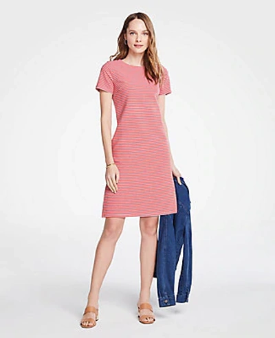 Shop Ann Taylor Petite Stripe Knit Short Sleeve Shift Dress In Campfire Red