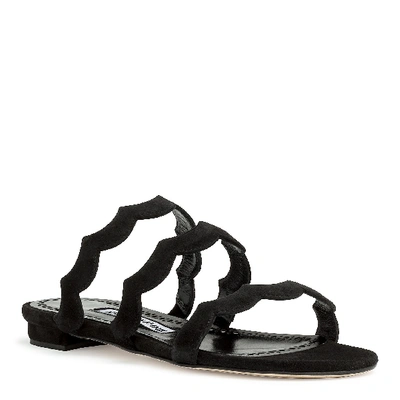 Shop Manolo Blahnik Agavriaflat Black Suede Flat Sandals