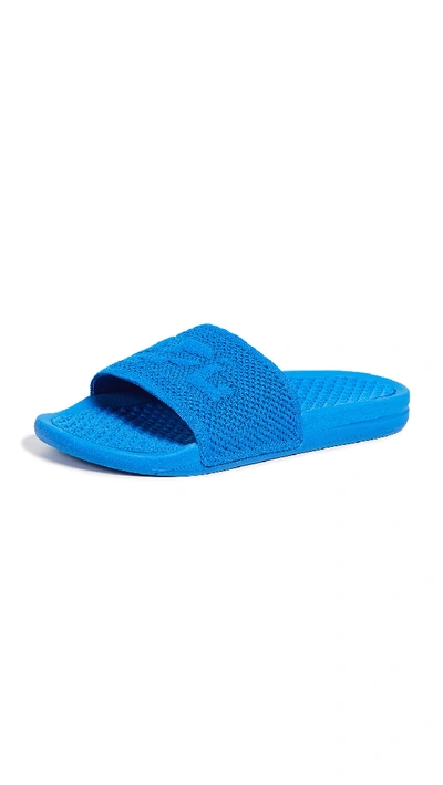 Shop Apl Athletic Propulsion Labs Big Logo Techloom Slides In Royal Blue