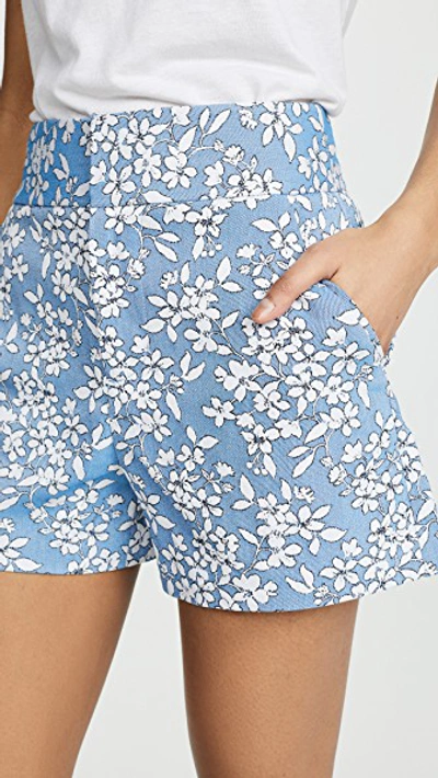 Shop Alice And Olivia Cady High Waist Clean Shorts In Cornflower/white