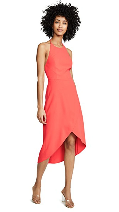 Shop Alice And Olivia Kristy High Low Halter Dress In Bright Poppy