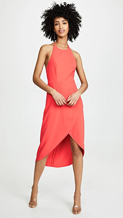 Shop Alice And Olivia Kristy High Low Halter Dress In Bright Poppy