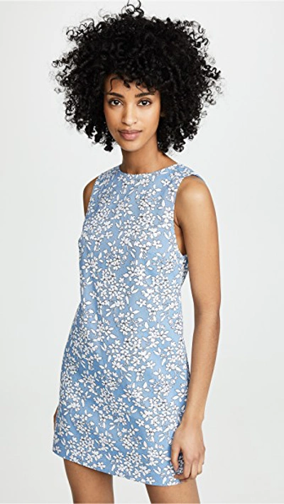 Shop Alice And Olivia Clyde Shift Dress In Cornflower/white