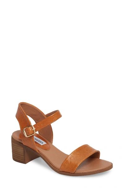 The Softest Sandals - Steve Madden April Sandals - Kelly in the City