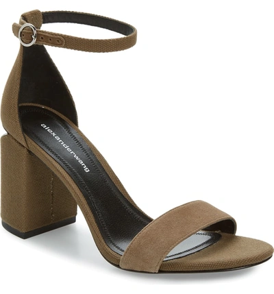 Shop Alexander Wang New Abby Ankle Strap Sandal In Khaki Suede