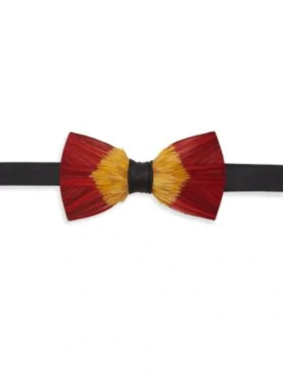 Shop Brackish Men's Starfire Feather Bow Tie In Red