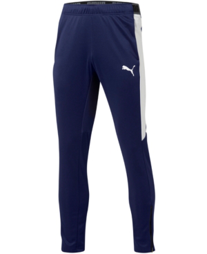 puma speed pants