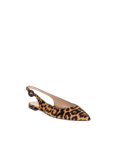 Shop Gianvito Rossi Leopard Print Shoes In Brown