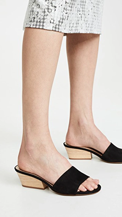 Shop Botkier Carlie Block Heel Slides In Black