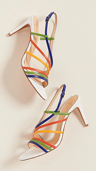 Shop Alexandre Birman Strappy 75mm Sandals In Kiwi/sunflower/white