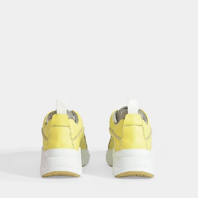 Shop Acne Studios | Manhattan Sneakers In Pale Yellow Calf Leather
