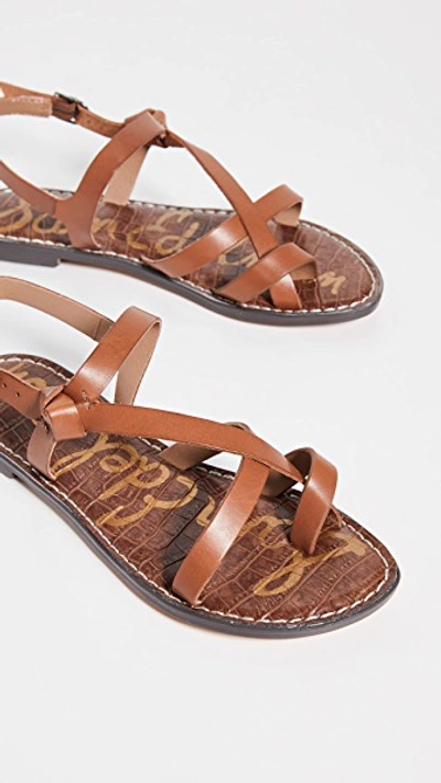 Shop Sam Edelman Gladis Sandals In Saddle