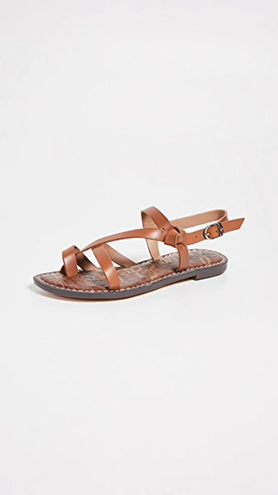 Shop Sam Edelman Gladis Sandals In Saddle