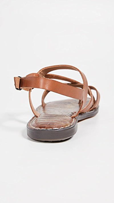 Shop Sam Edelman Gladis Sandals In Saddle