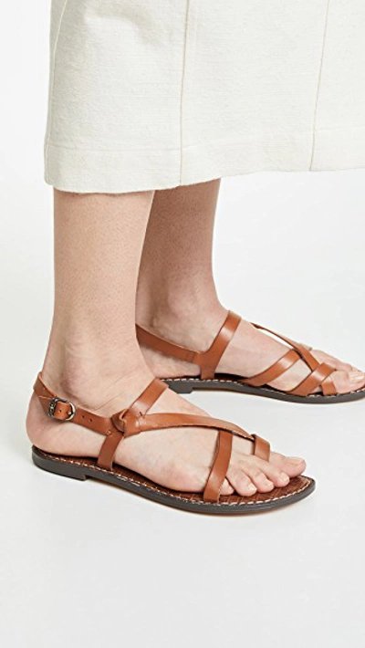 Shop Sam Edelman Gladis Sandals In Saddle