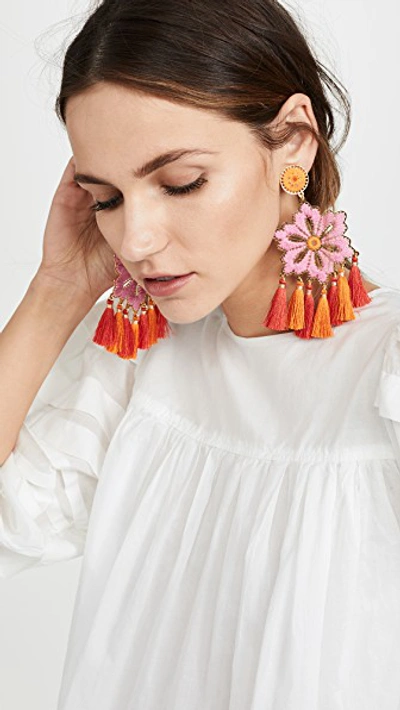 Shop Mercedes Salazar Hibiscus Rosa Earrings In Pink/orange