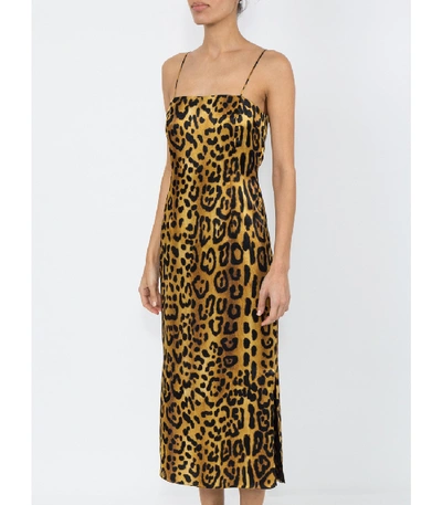 Shop Adam Lippes Leopard Cami Dress In Multicolor