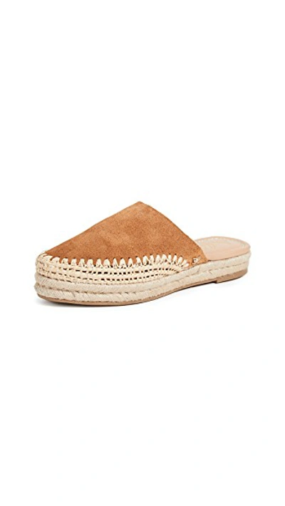 Shop Sam Edelman Austin Espadrilles In Caramel