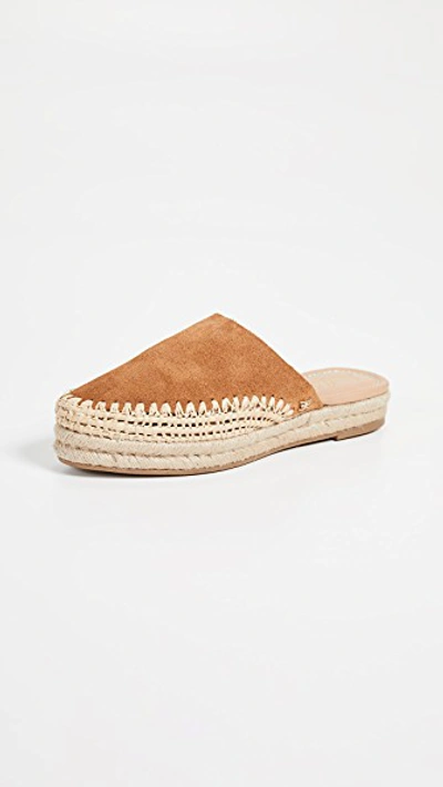 Shop Sam Edelman Austin Espadrilles In Caramel