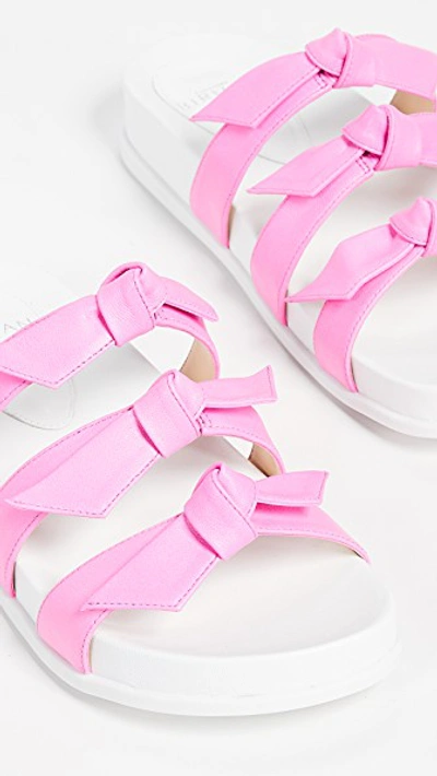 Shop Alexandre Birman Lolita Pool Slides In Pink Fluo/white