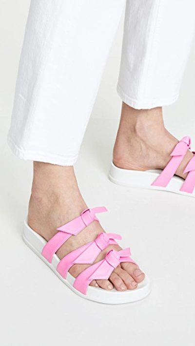 Shop Alexandre Birman Lolita Pool Slides In Pink Fluo/white