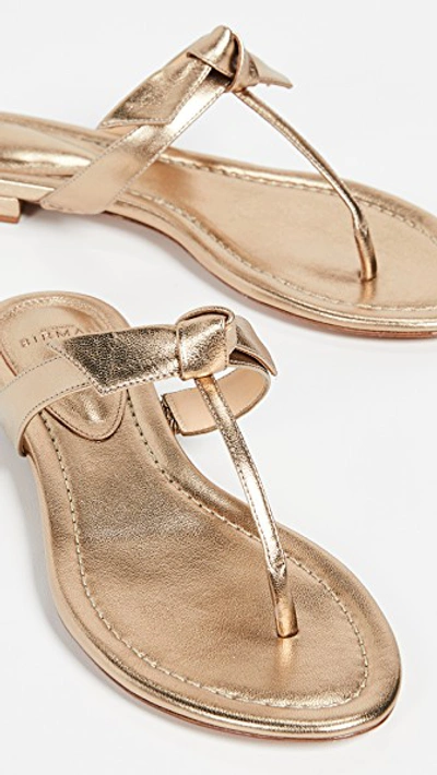 Shop Alexandre Birman Clarita Naked Flat Sandals In Marrone