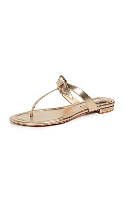 Shop Alexandre Birman Clarita Naked Flat Sandals In Marrone