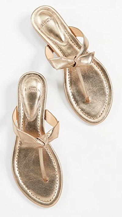 Shop Alexandre Birman Clarita Naked Flat Sandals In Marrone