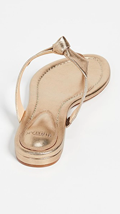 Shop Alexandre Birman Clarita Naked Flat Sandals In Marrone