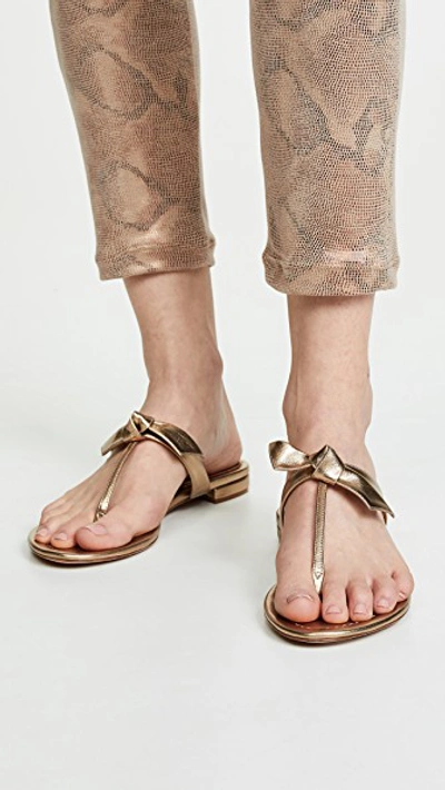 Shop Alexandre Birman Clarita Naked Flat Sandals In Marrone