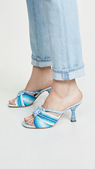 Shop Antolina Bruna Mules In Celeste Multicolor